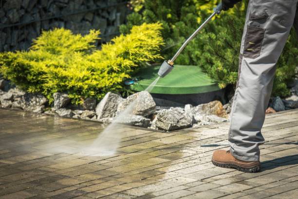 Best Warehouse Cleaning  in Tarpey Village, CA