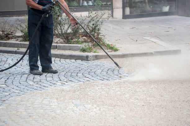 Best Pool Deck Cleaning  in Tarpey Village, CA